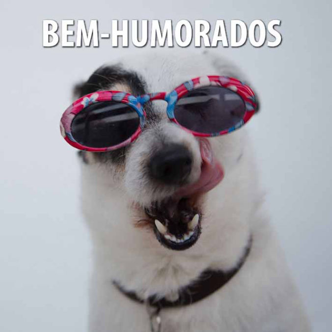 Bem-Humorados