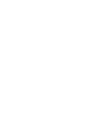 Jingle Bird